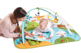 Gymini Kick and Play - Tiny Farm